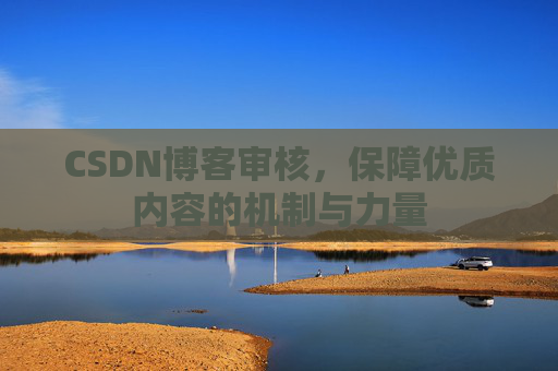 CSDN博客审核，保障优质内容的机制与力量